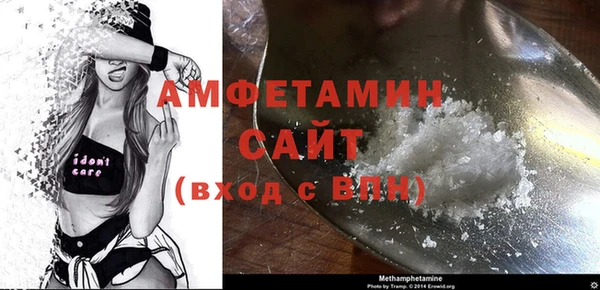 прущие грибы Дмитров