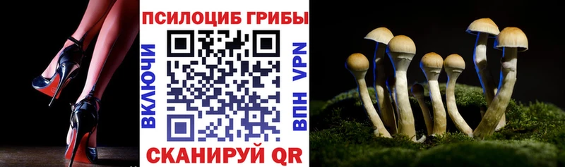 Псилоцибиновые грибы прущие грибы  ОМГ ОМГ как войти  Арзамас  магазин  наркотиков 